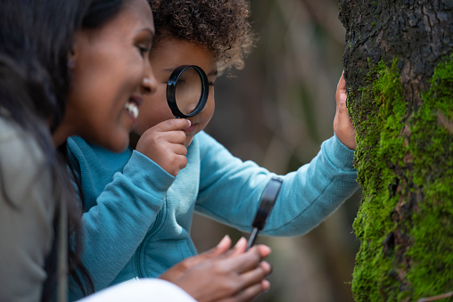 Close up woman and daughter exploring the moss growing on a tree, watching the moss, using a magnifying glass.