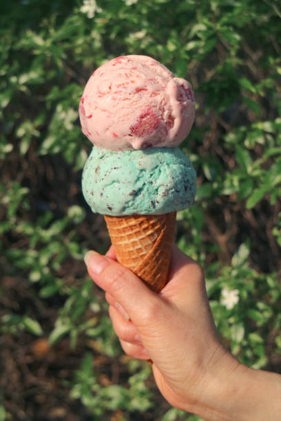 istock Vertical image of melting two scoops Ice cream cone in hand with blurry green trees in background 1130416342