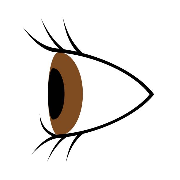 Ingrowing Eyelashes Stock Illustration - Download Image Now - Black Eye,  Clip Art, Anatomy - iStock