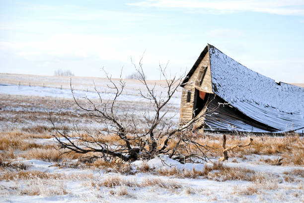 paisagem congelada da pradaria - prairie farm winter snow - fotografias e filmes do acervo