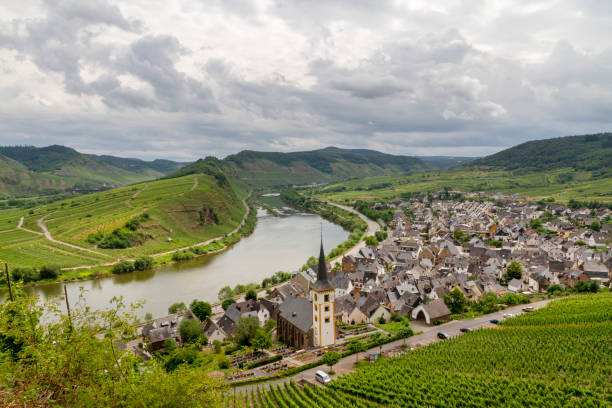 istock Panoramic landscape with autumn vineyards. Mosel, Germany 1130426600