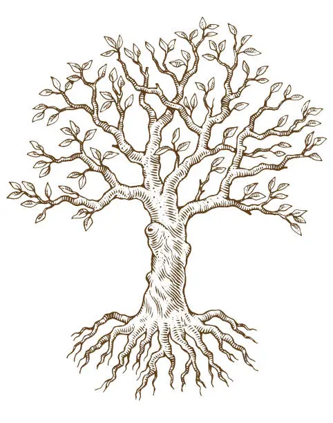 Vector illustration of Hand drawn tree vector illustration
