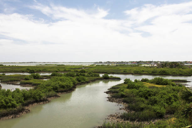 istock marshes of north Florida 1130433027