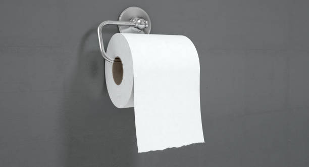 Toilet Roll Full A roll of white toilet paper hanging on a chrome toilet roll holder on an isolated white textured background - 3D render toilet paper stock pictures, royalty-free photos & images