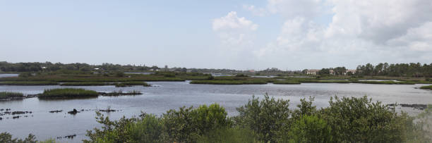 istock marshes of north Florida 1130434331