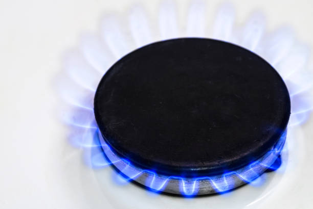 gas burns in the white gas stove burner. blue fire burning natural gas - blue flame natural gas fireplace imagens e fotografias de stock