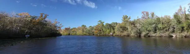 Black Creek river in Florida Clay county