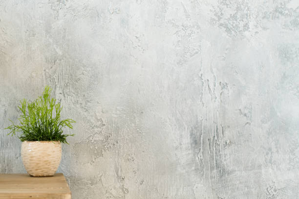 istock indoor plant decor design houseplant copy space 1130437975