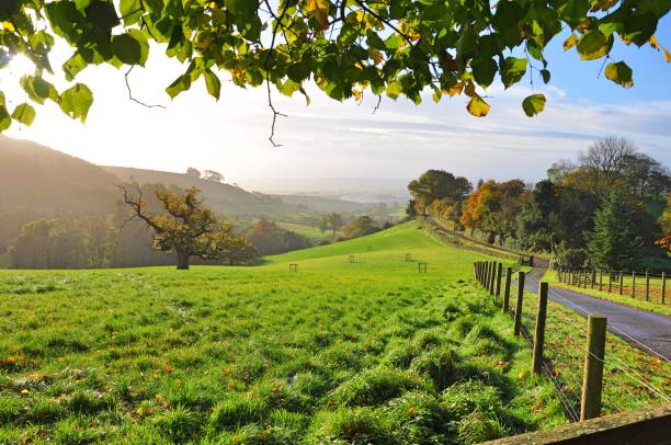 istock Rural farm landscape 1130439119