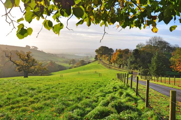 istock Rural farm landscape 1130439147
