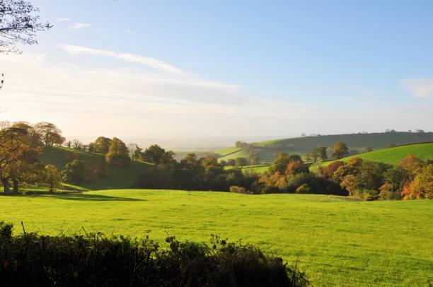 istock Rural farm landscape 1130439149