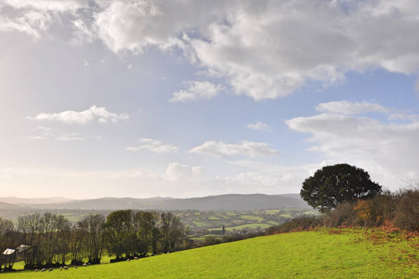 istock Rural farm landscape 1130439171