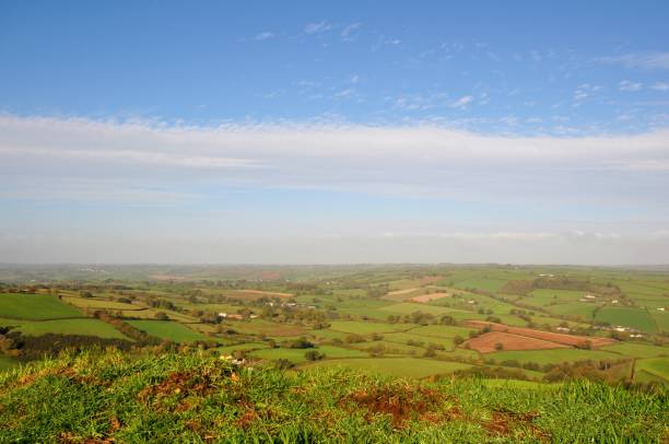 istock Rural farm landscape 1130439188