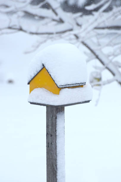 istock Snow Covered Bird House in Winter 1130439295
