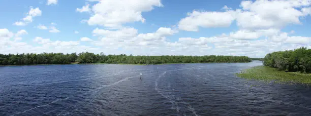 Black Creek river in Florida Clay county