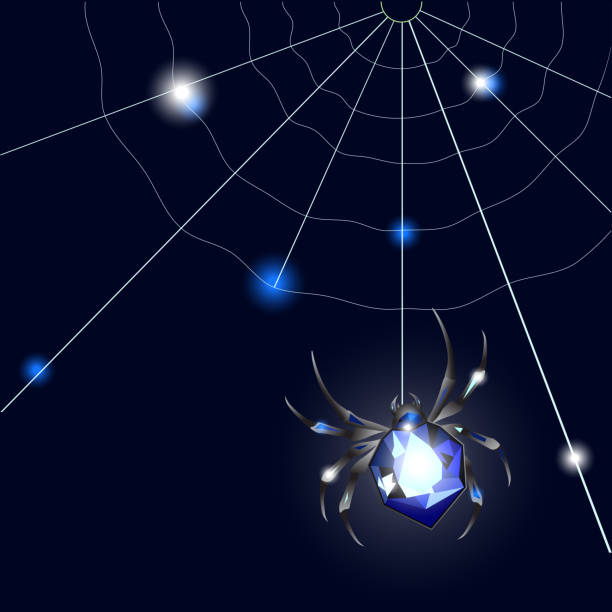 Spider on the web stylized. Vector illustration Spider on the web stylized on the dark background Vector illustration blue tarantula stock illustrations
