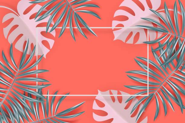 istock Tropical banner with silvery palm and monstera leaves on coral backdrop minimal 1130444528