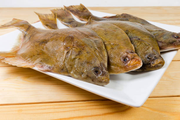 istock Raw flounders on dish close-up at selective focus 1130444585