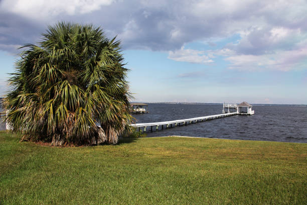 istock St. Johns river in Florida 1130445386