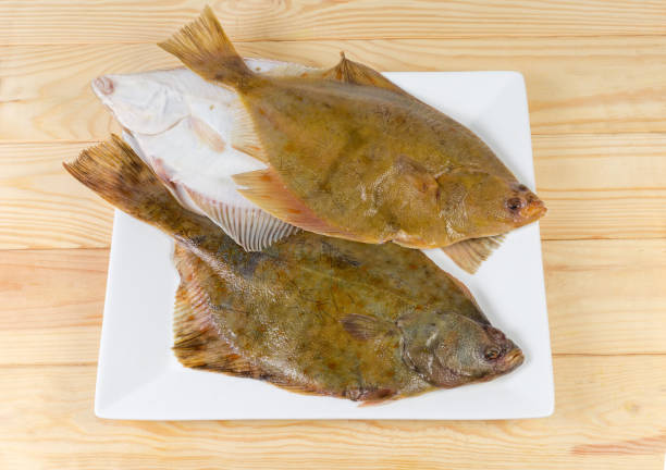 istock Raw flounders on square dish on a wooden table 1130445706