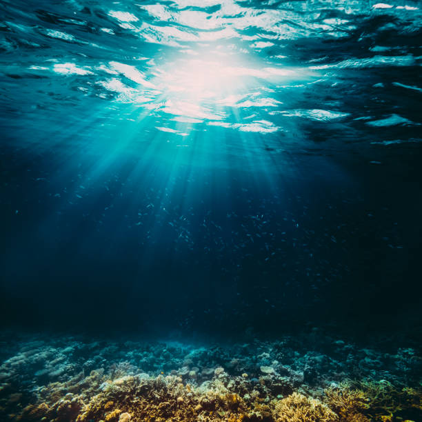 istock a background sand on the beach underwater 1130445969