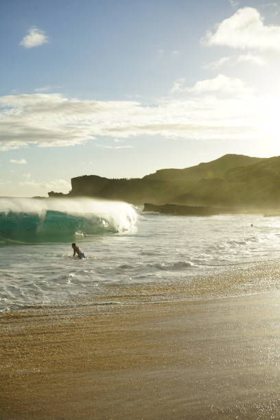istock Shorebreak at SandyBeach park on Oahu, Hawaii 1130446316