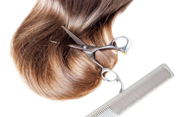istock scisors, comb and brown hair isolated on white background, copy space. 1130446995