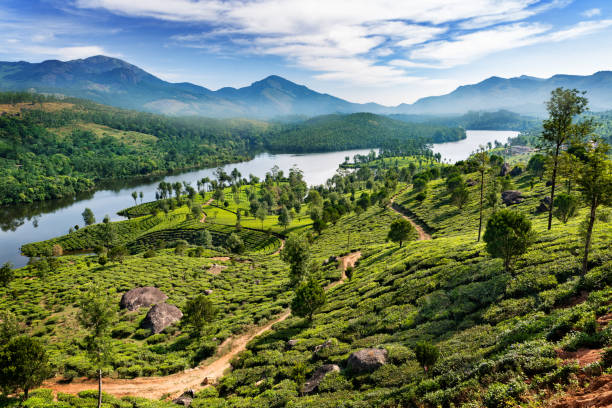 istock Hills and tee plantations in Kerala 1130447383