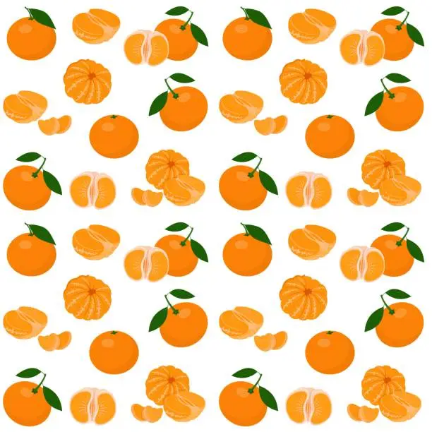 Vector illustration of Mandarin, tangerine, clementine with leaves isolated on white background. Citrus fruit background. Seamless pattern. Vector Illustration