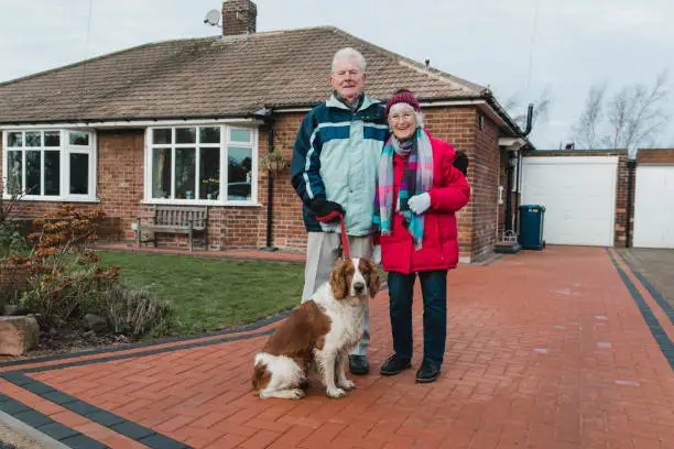 Photo of Portrait of a Senior Couple and Their Dog