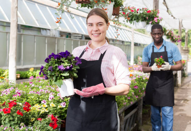 istock Female worker checking flowers in glasshouse 1130453590