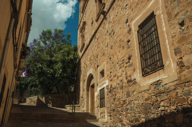 istock Staircase amidst old stone buildings and flowering trees at Caceres 1130454901