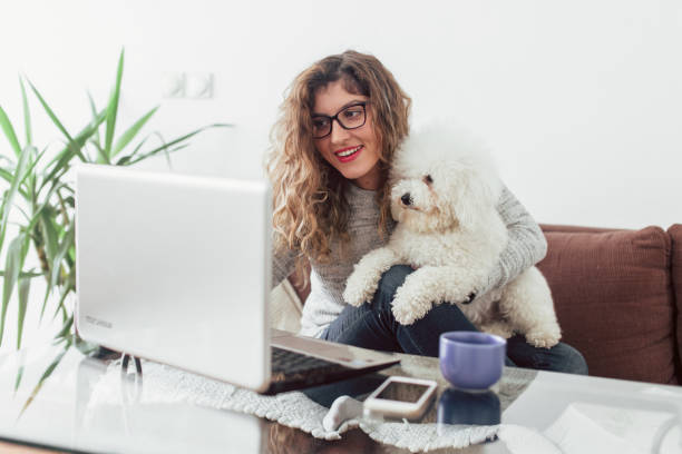 istock Young woman working at home. She is with her dogs 1130456781