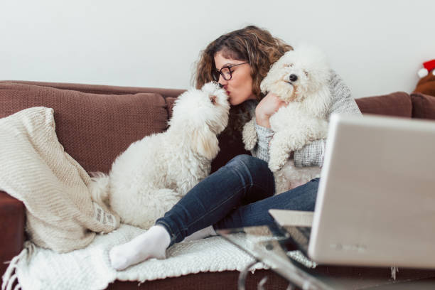 istock Yong woman kisses her dog 1130456821
