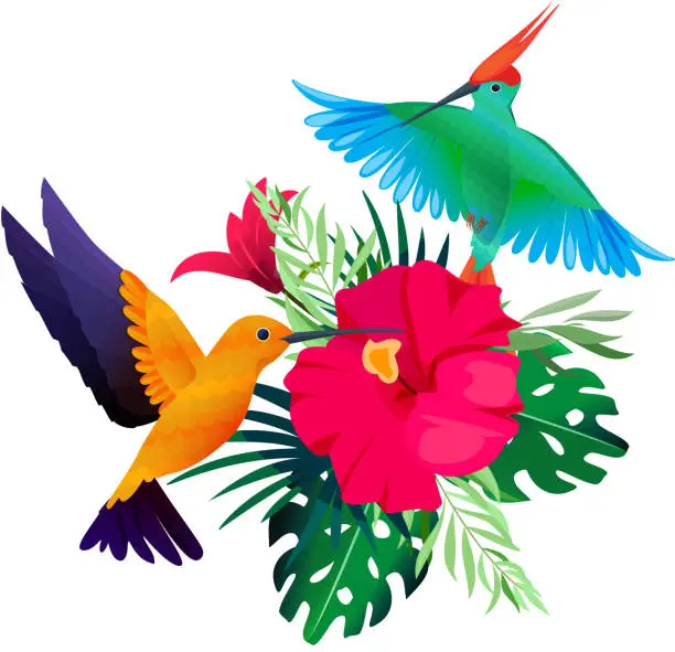 Vector illustration of Tropical birds plants. Exotic colored background with parrots and hummingbirds sitting on leaves and flowers vector picture