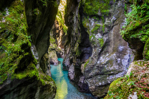 istock Crystal clear emerald mountain river flows between rocks in a deep canyon.Triglav national park, Slovenia. 1130459625