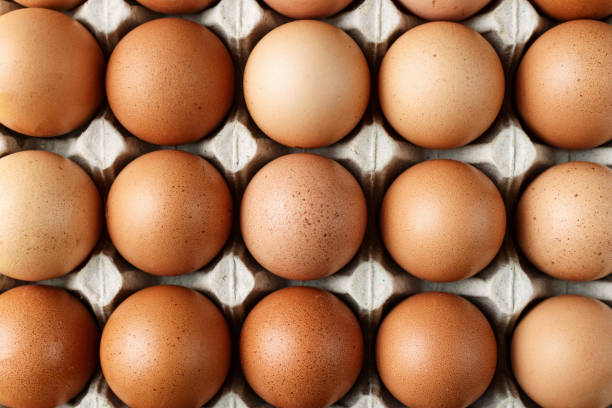 istock chicken eggs in a paper tray. close-up. 1130460219
