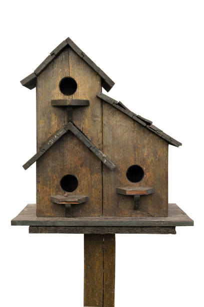 maison d’oiseau, - birdhouse birds nest animal nest house photos et images de collection