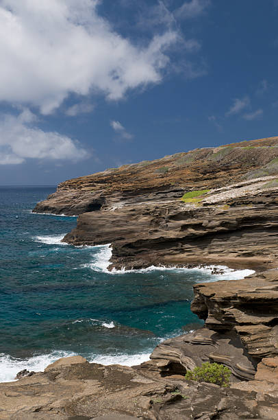 istock View from Lanai Lookout, east Oahu, Hawaii 113046295
