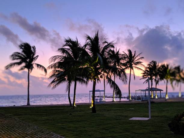 istock Pink Sunrise in Grand Cayman 1130466626