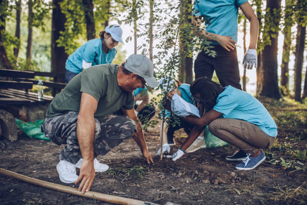 istock Volunteers planting a tree in park 1130467626