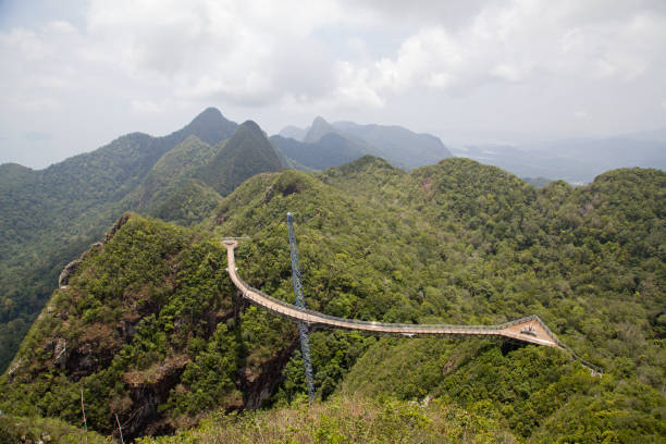 랑카위 스카이 브릿지 - tropical rainforest elevated walkway pulau langkawi malaysia 뉴스 사진 이미지