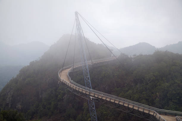 ponte de céu nublado langkawi - tropical rainforest elevated walkway pulau langkawi malaysia - fotografias e filmes do acervo