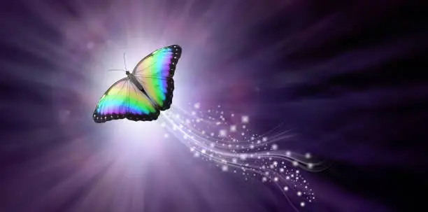 a large rainbow coloured butterfly rising up with a trail of sparkles against a purple radiating background into the light with copy space
