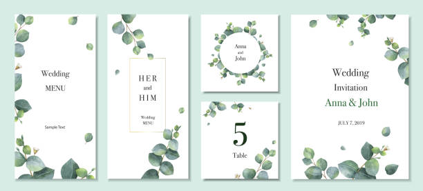 수채화 벡터 녹색 유칼립투스 잎 결혼식 초대 카드 템플릿 디자인을 설정합니다. - eucalyptus tree stock illustrations