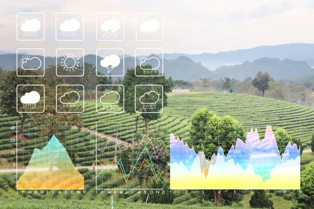 Weather forecast symbol data presentation with graph and chart on freshness clean nature green morning background. stock photo