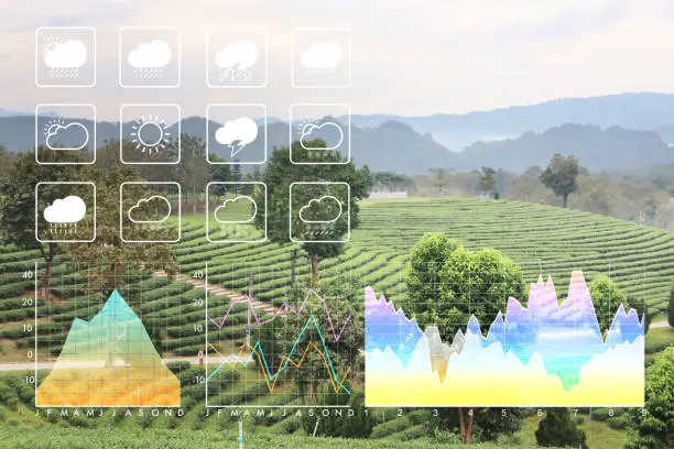 Photo of Weather forecast symbol data presentation with graph and chart on freshness clean nature green morning background.