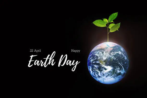 Photo of Celebration of Earth Day on 22 April of every year with symbol of earth and growth of small freshness and strong tree on black background.