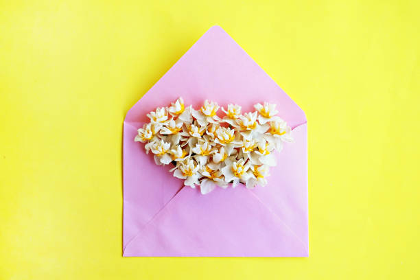 istock Spring mood conceptual image. Seasonal flowers on bright background. 1130478541
