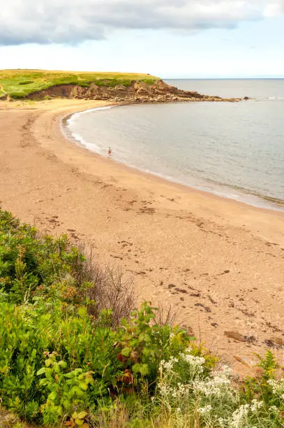 Photo of Inverness sandy beach